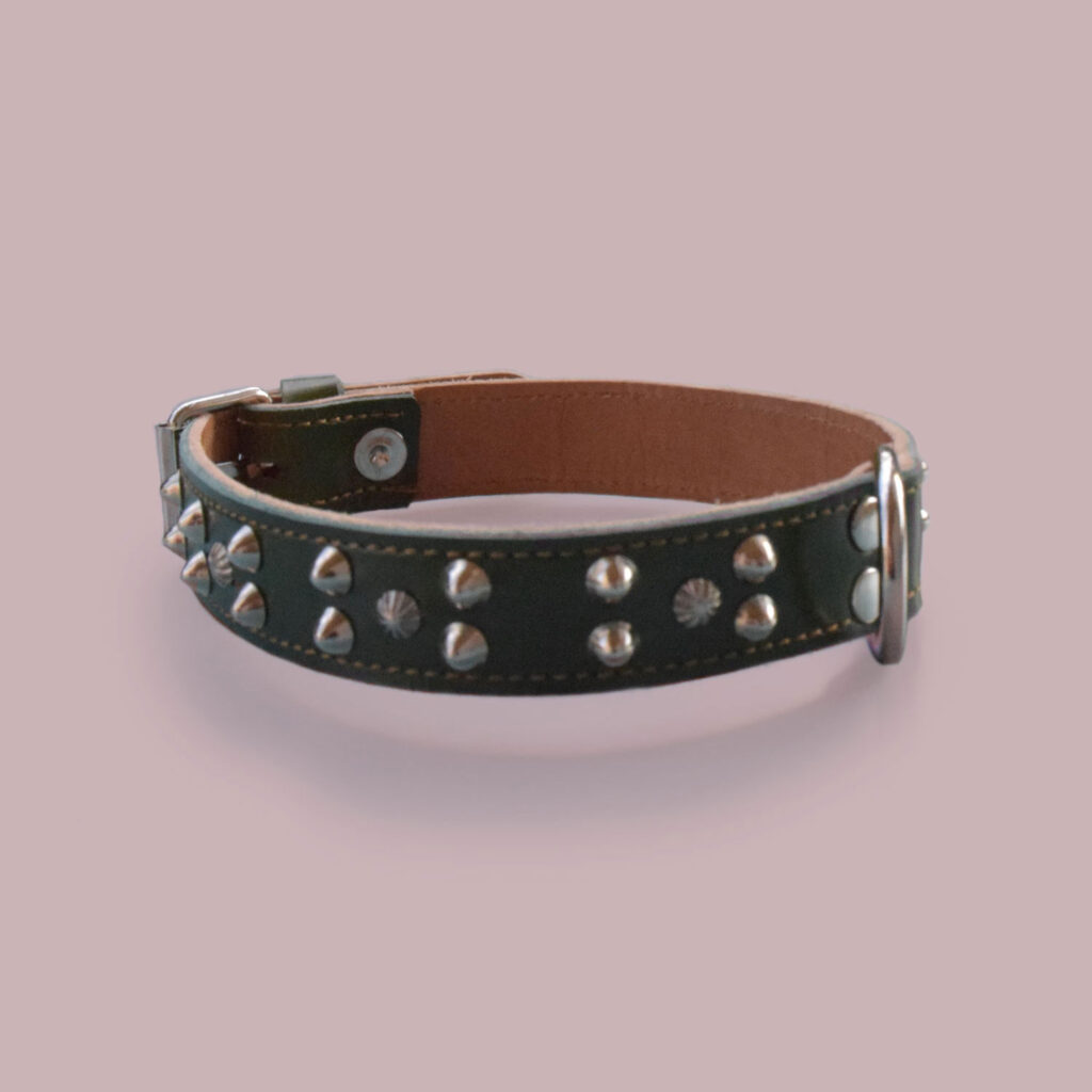 Ikaros: dunkelgrünes Hundehalsband mit Nieten