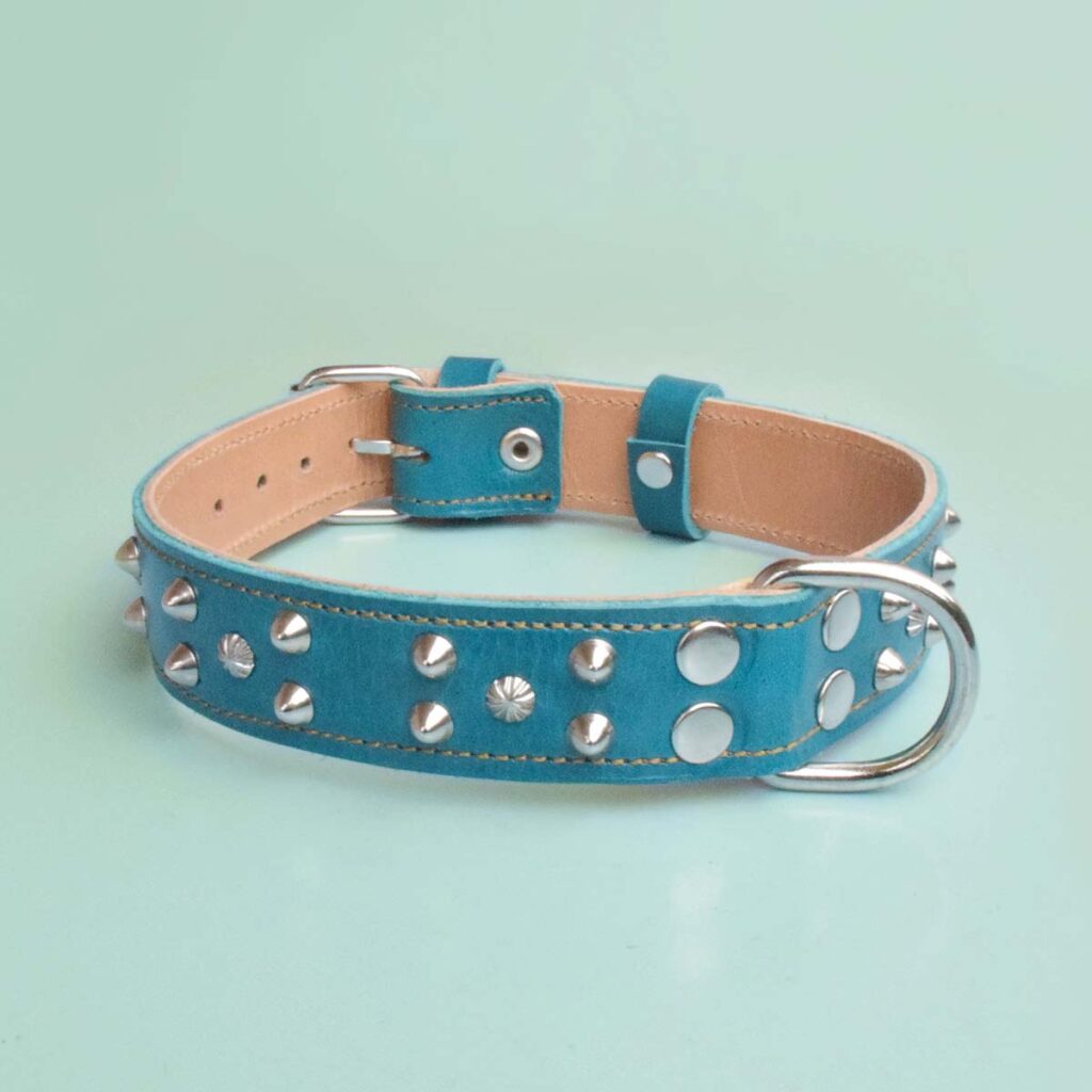 Alexios: blaues Hundehalsband mit Nieten
