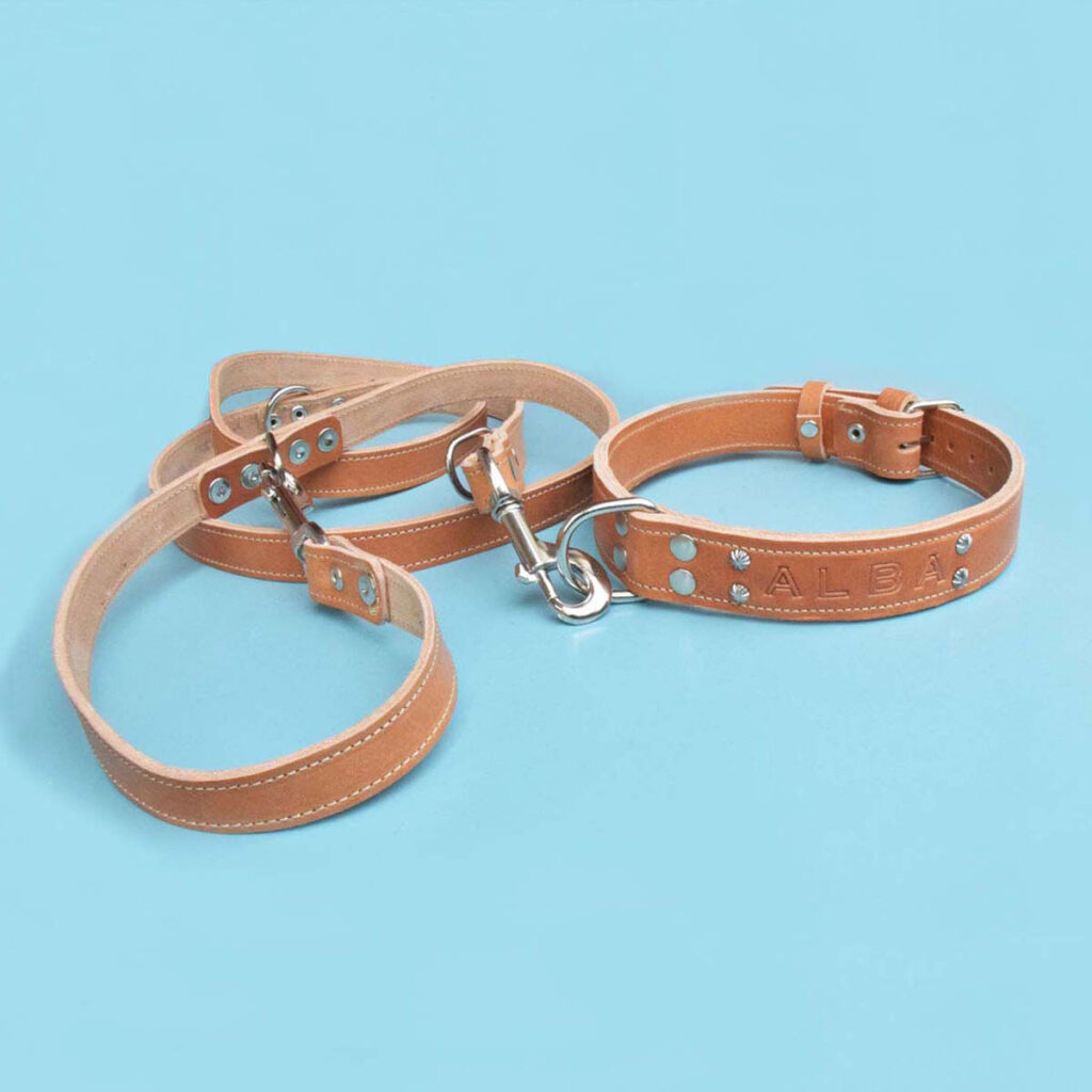 Combo-Alba: braunes Leder Hundehalsband mit Leine