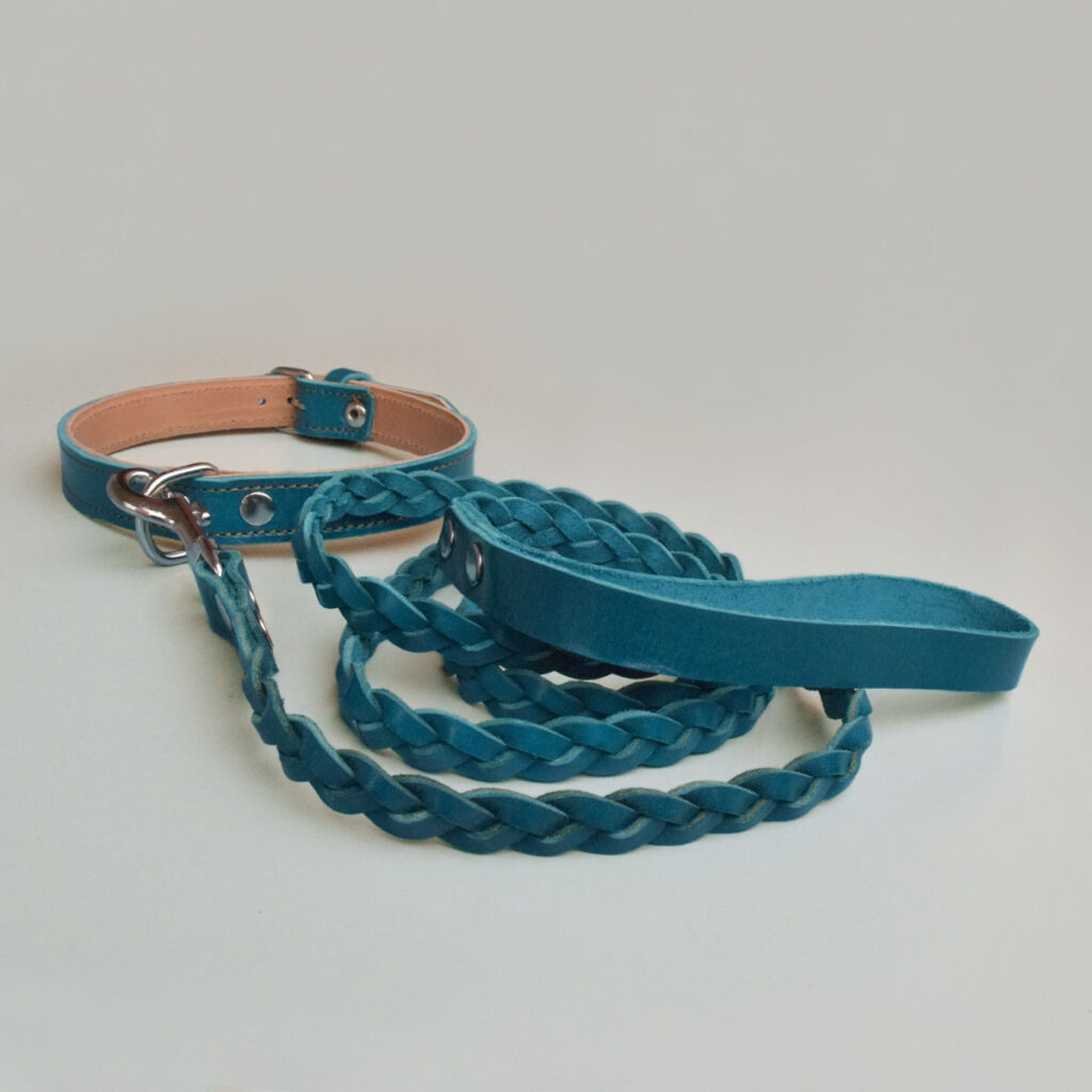 Combo-Leon: blaues Hundehalsband und Leine