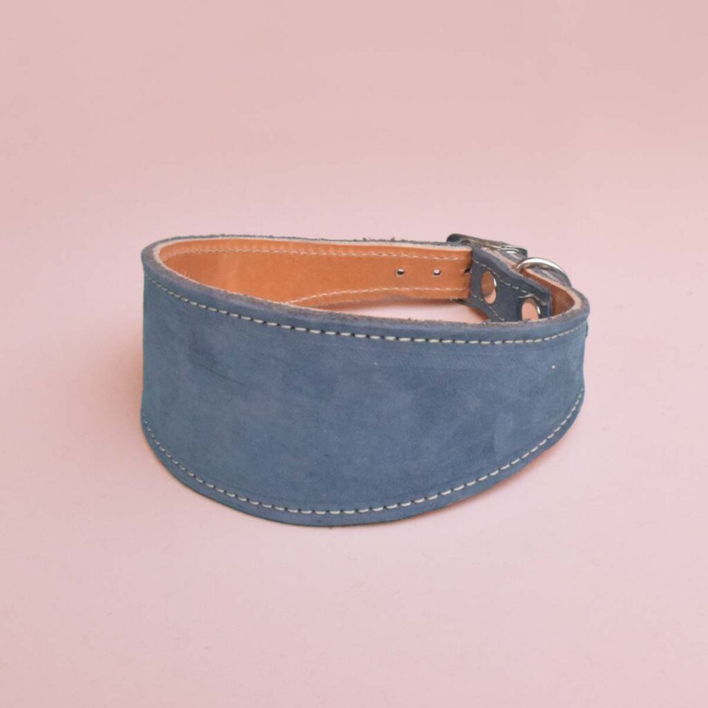 Nike: blaues Wild-Leder Hundehalsband breit